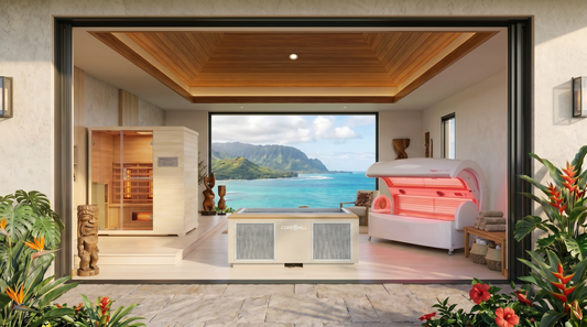 Best Luxury Cold Plunge Systems for Home in 2026
